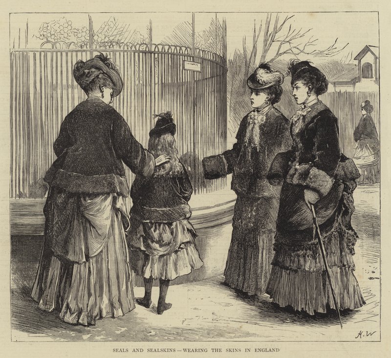 Seals and Sealskins, Wearing the Skins in England by Henry Woods