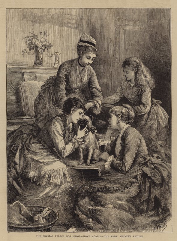 The Crystal Palace Dog Show, Home Again!, the Prize Winner