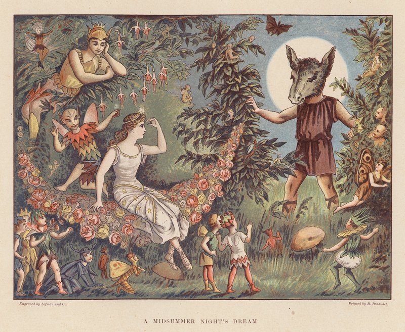 Shakespeare for the Young: A Midsummer Night