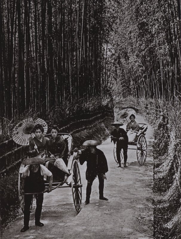 A Bamboo Avenue at Kyoto by Herbert Ponting