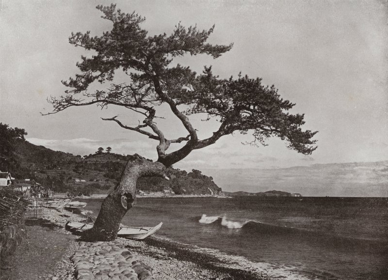 Atami by Herbert Ponting