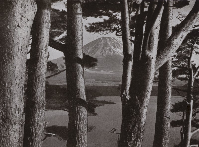 Fuji Through the Pine Trees by Herbert Ponting