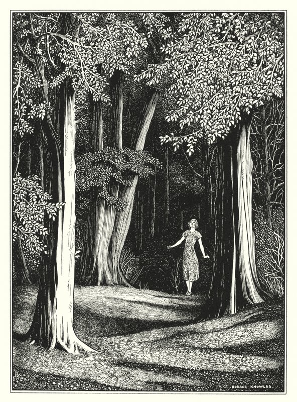 July by Horace J. Knowles