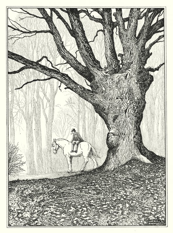 November by Horace J. Knowles