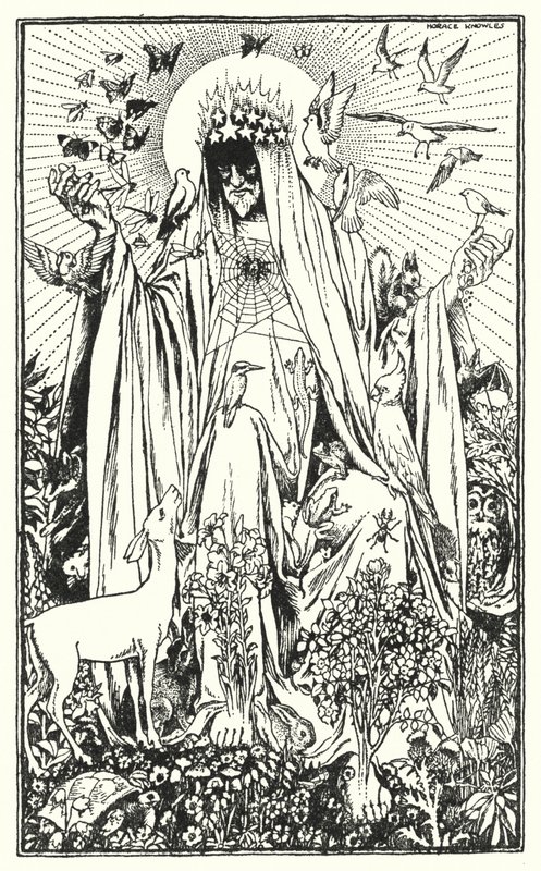 Robin Redbreast by Horace J. Knowles
