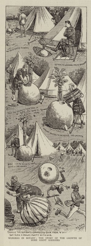 Wonders in Botany, the Story of the Growth of Some Giant Radishes by Horatio Gordon Robley