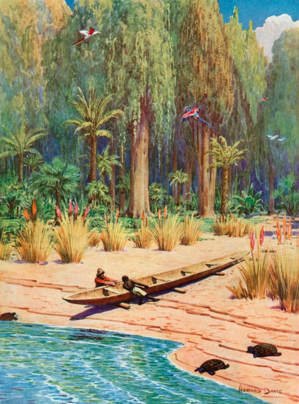 Illustration for Robinson Crusoe by Howard Davie