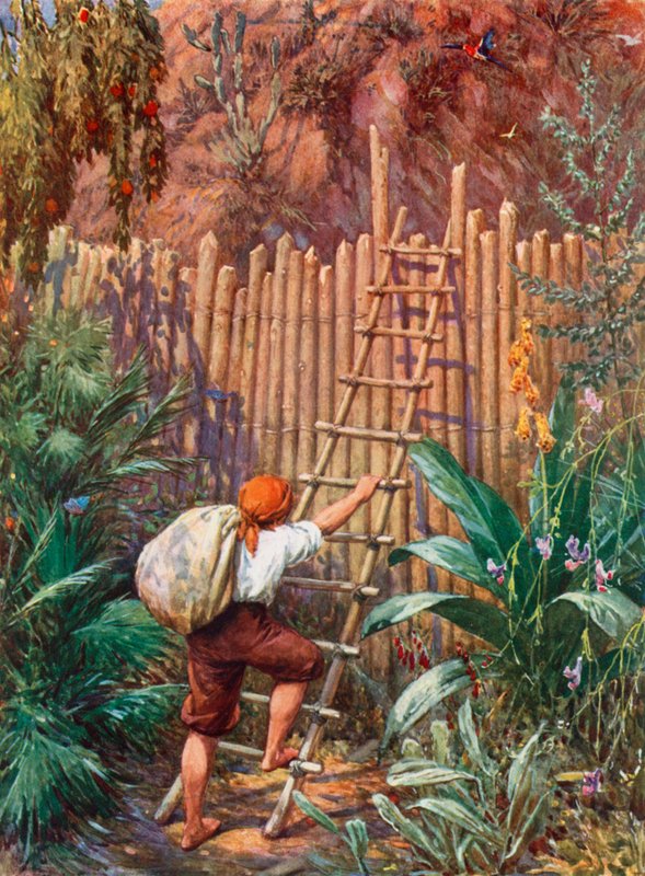 Illustration for Robinson Crusoe by Howard Davie