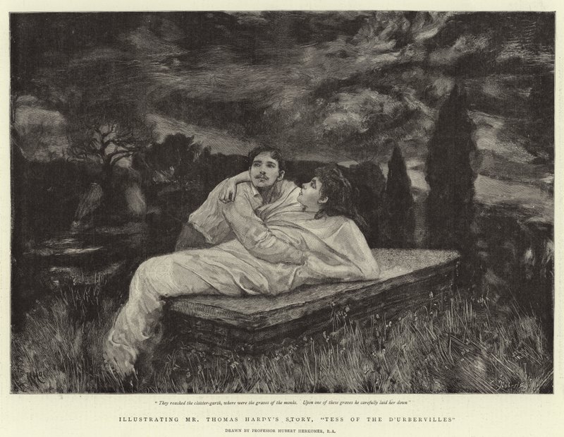 Tess of the D