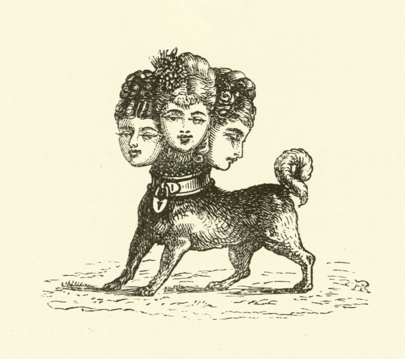 Female Cerberus by Hugh Rowley