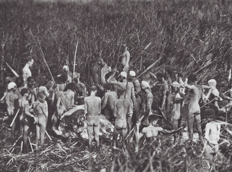 Nuer hunters with body of elephant by Hugo Adolf Bernatzik