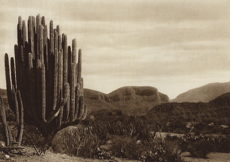 Mexico: Cuicatian, 