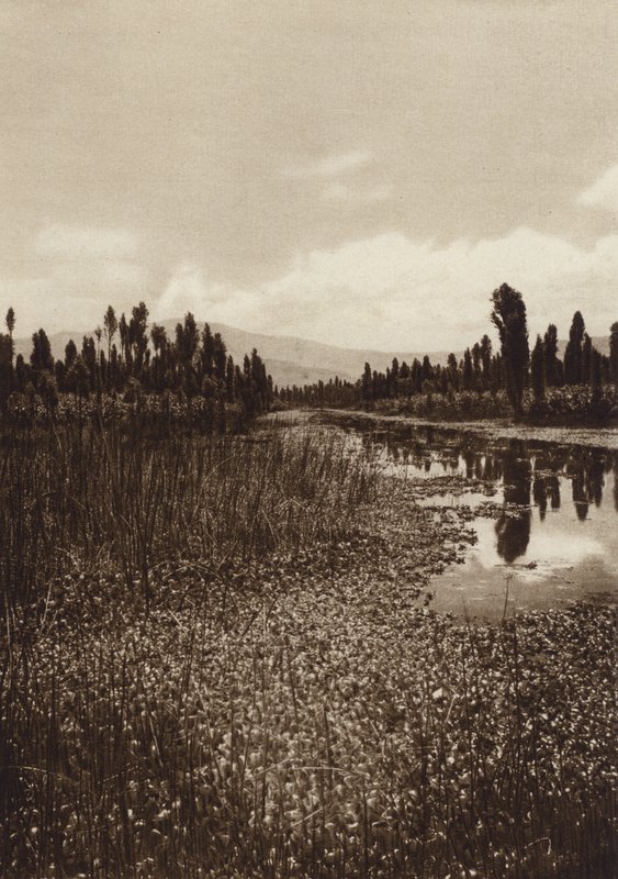 Mexico: Xochimilco, One of the Main Canals by Hugo Brehme