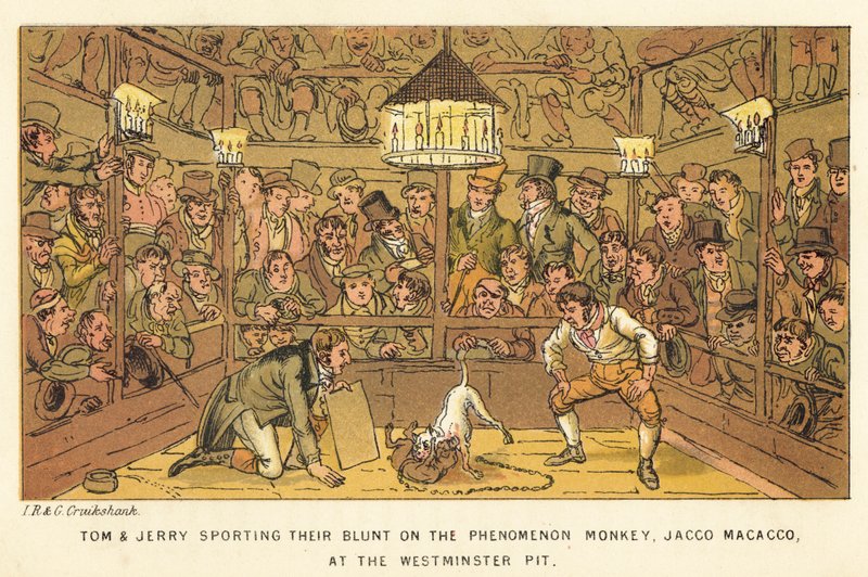 Tom and Jerry Sporting Their Blunt on the Phenomenon Monkey, Jacco Macacco, at the Westminster Pit by Isaac, Robert and George Cruikshank