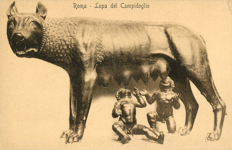 Rome, wolf of Campidoglio by Italian Photographer