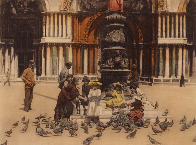 Venice: Pigeons by Italian Photographer