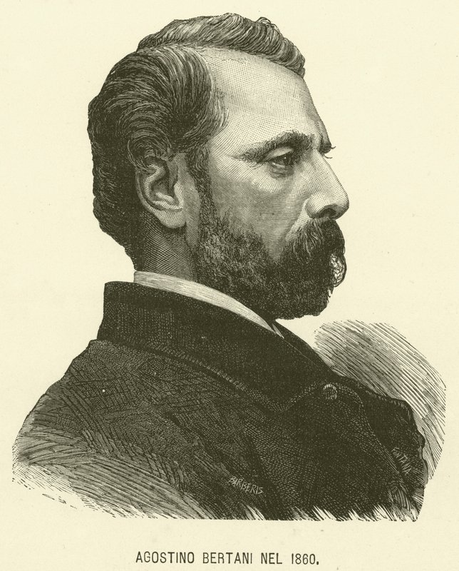 Agostino Bertani in 1860 by Italian School