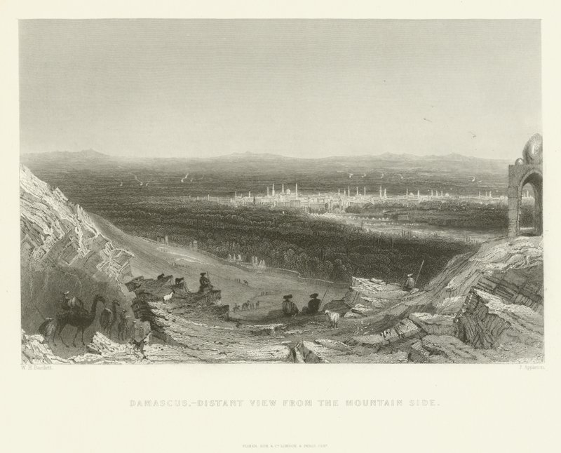 Damascus - Distant View from the Mountain Side by J. Appleton