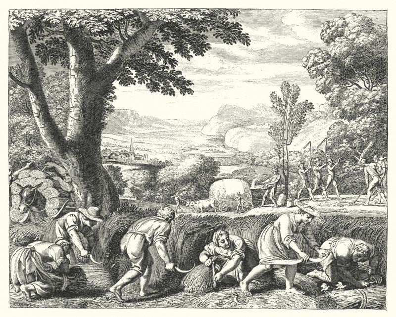 Harvest Scene by Jacques Stella