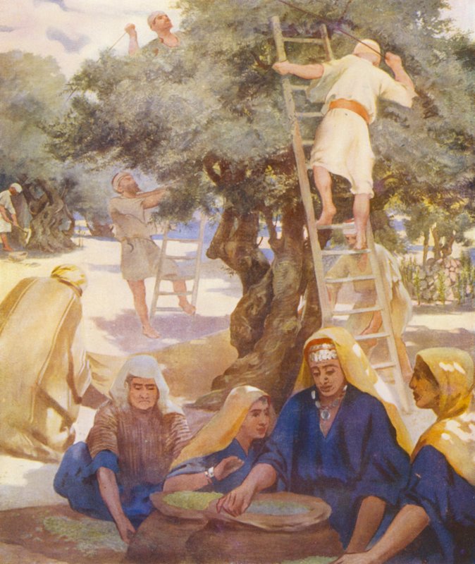 Holy Land: An Olive Yard by James (after) Clark