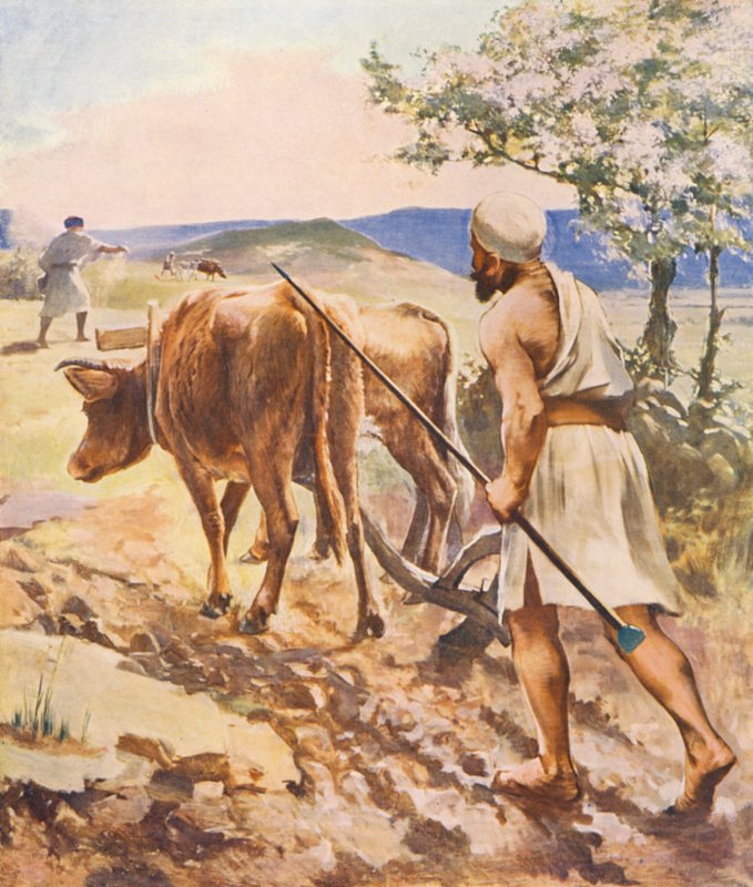 Holy Land: Ploughing Near Nazareth by James (after) Clark