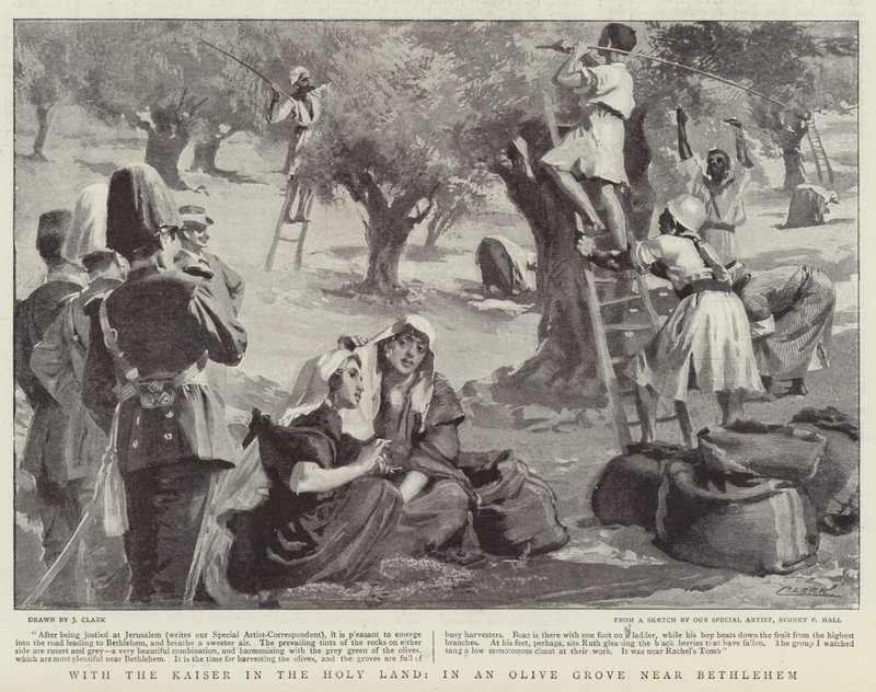 With the Kaiser in the Holy Land, in an Olive Grove near Bethlehem by James Clark