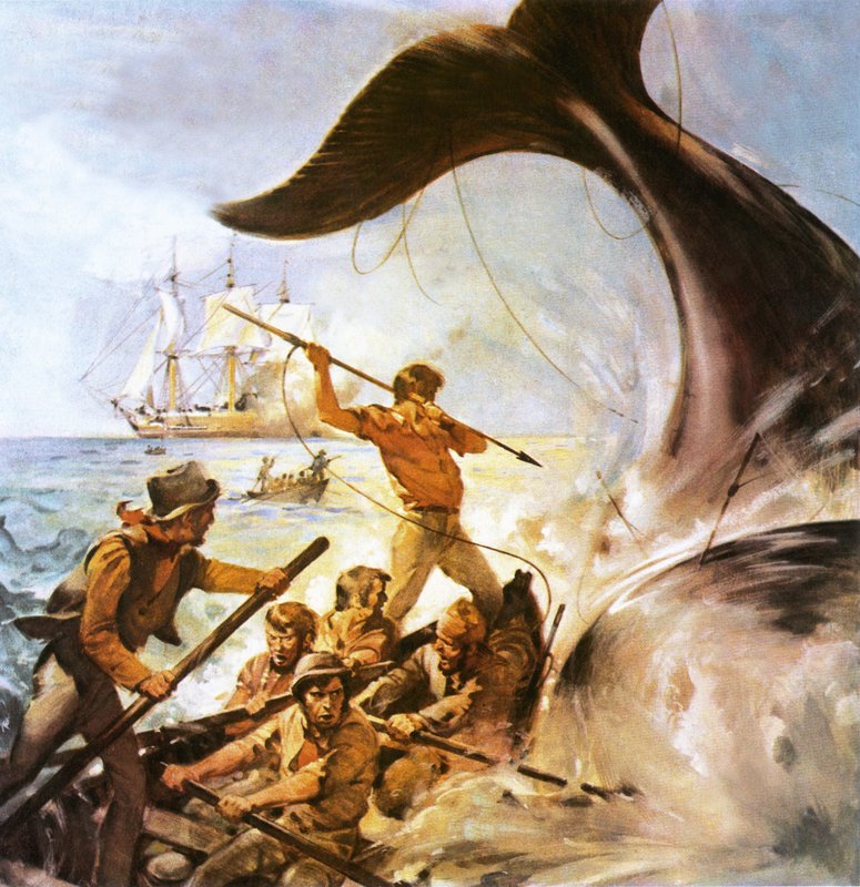 Peter the Whaler by James Edwin McConnell