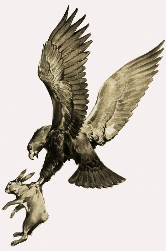 The Eagle and the Hare, from the story by Aesop by James Edwin McConnell