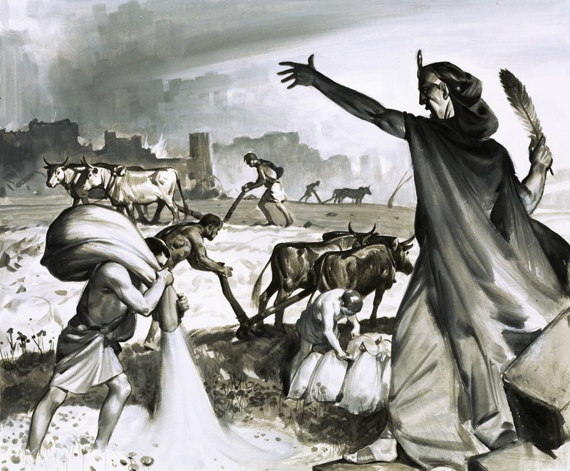 The Rise and Fall of Carthage: The Roman Curse on Carthage by James Edwin McConnell