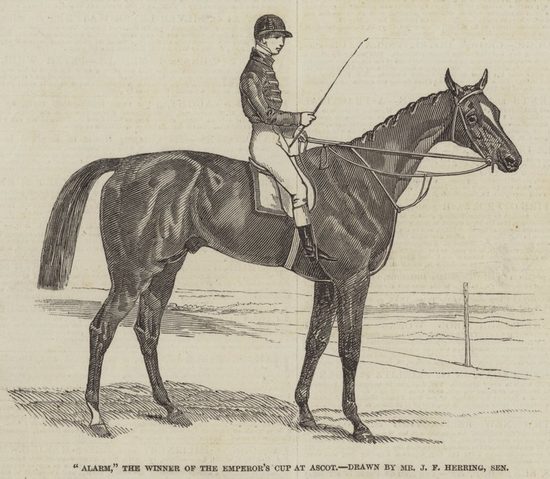 Alarm, the Winner of the Emperor