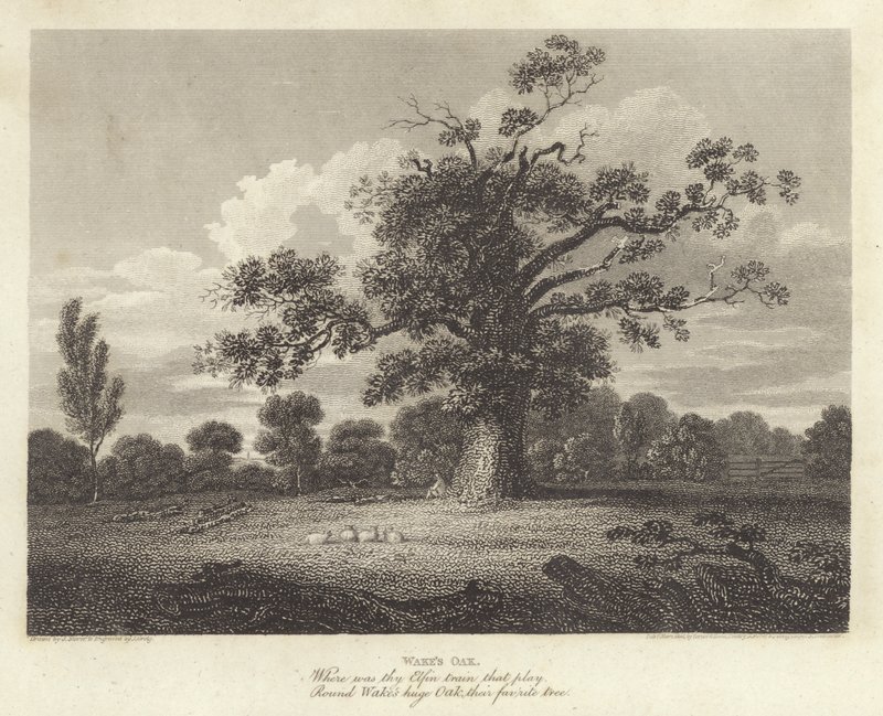 Robert Bloomfield, poet: Wake