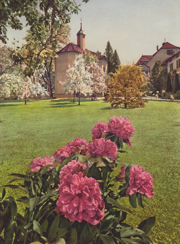 Switzerland: Mammern on the Lake of Constance, in the Grounds of the Sanatorium by Jean Gaberell