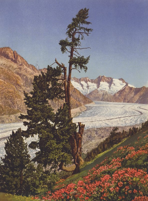 Switzerland: View of the Aletsch Glacier and the Fiescherhorner by Jean Gaberell