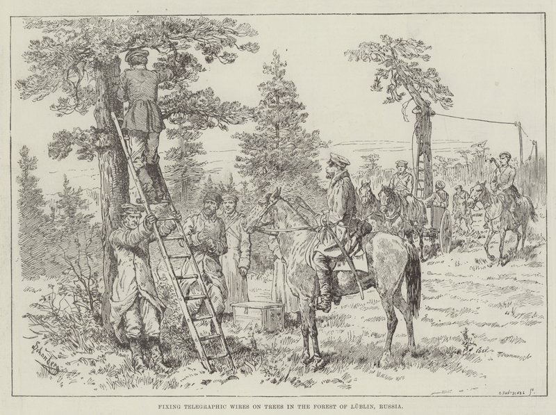 Fixing Telegraphic Wires on Trees in the Forest of Lublin, Russia by Johann Nepomuk Schonberg