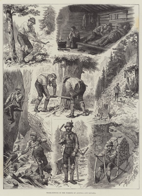 Wood-Cutting in the Forests of Austria and Bavaria by Johann Nepomuk Schonberg