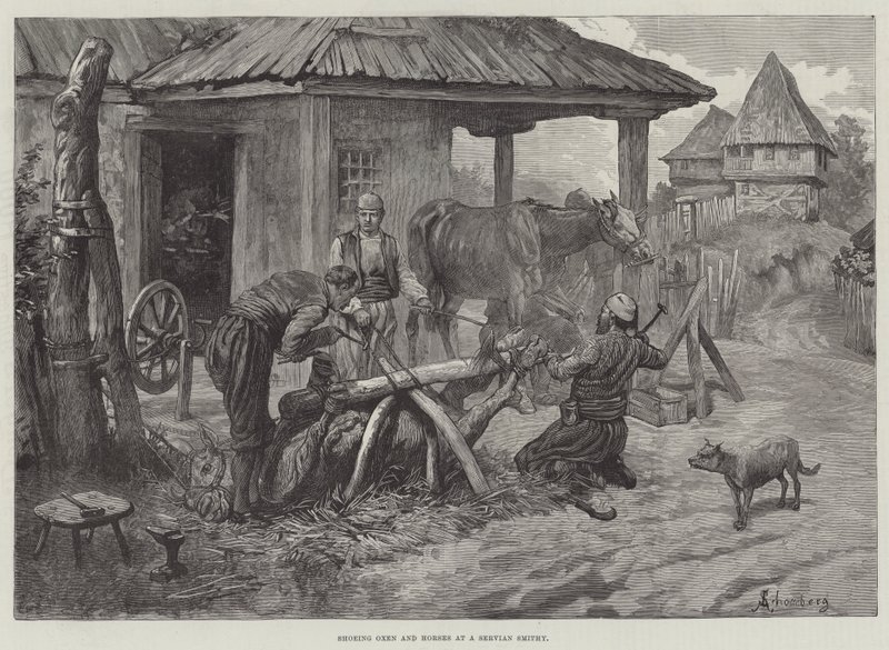 Shoeing Oxen and Horses at a Servian Smithy by Johann Nepomuk Schonberg