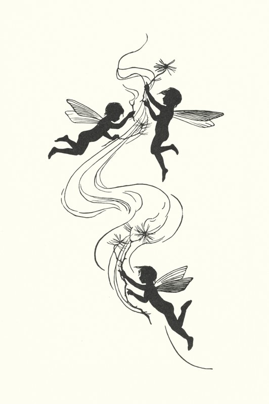 Johanna Beckmann Silhouette by Johanna Beckmann