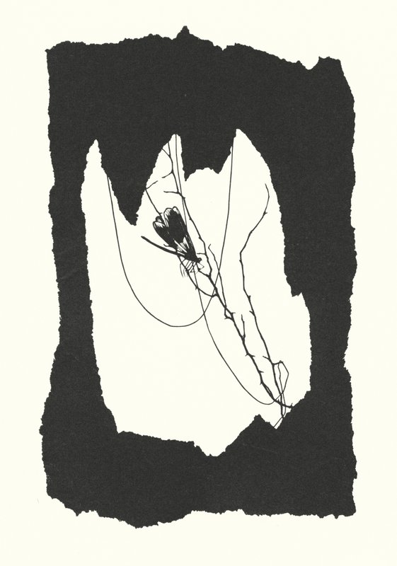 Johanna Beckmann silhouette by Johanna Beckmann