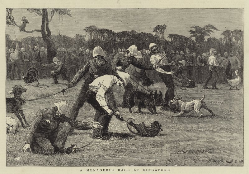 A Menagerie Race at Singapore by John Charles Dollman