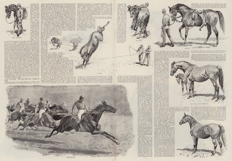 The Career of a Racehorse by John Charlton
