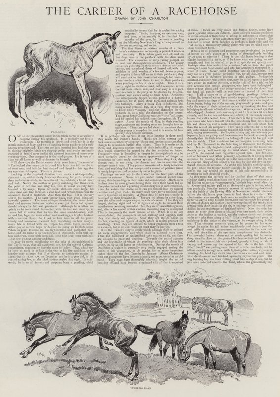 The Career of a Racehorse by John Charlton