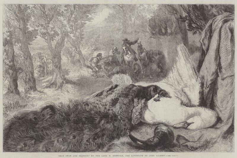 Dead Swan and Peacock by John Gilbert