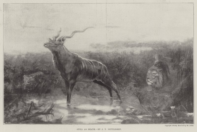 Still as Death by John Trivett Nettleship