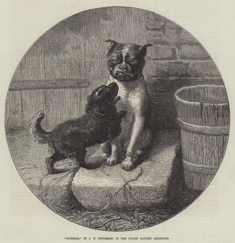 Bothered by John William Bottomley