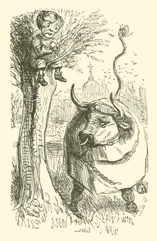 Bull and Boy by John (after) Leech