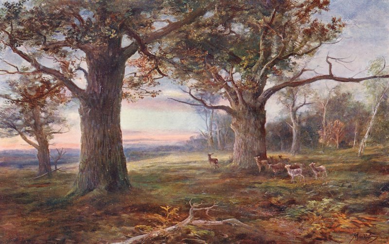 On the edge of Sherwood Forest by John (after) MacWhirter