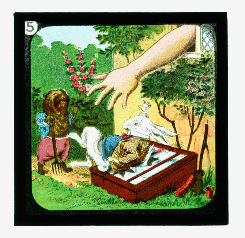 Alice in Wonderland, Coloured Lantern Slides by John (after) Tenniel