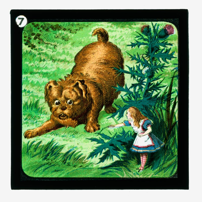Alice in Wonderland, Coloured Lantern Slides by John (after) Tenniel