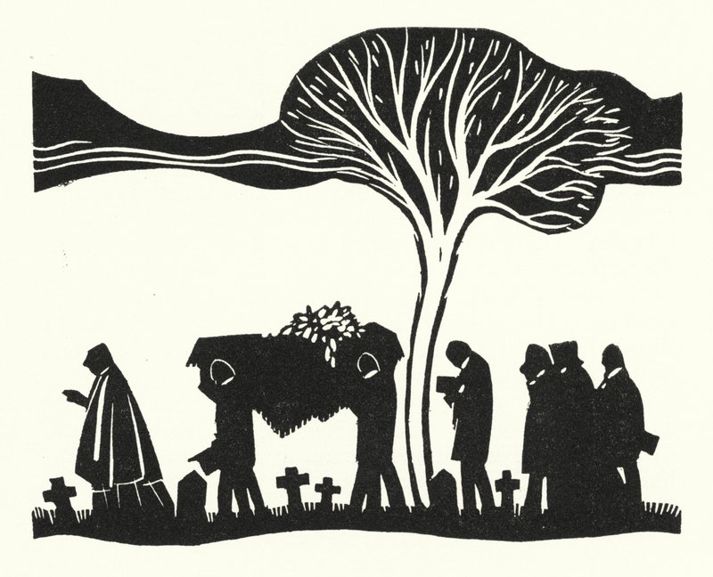 Illustration for Madame Bovary by Gustave Flaubert by John Austen