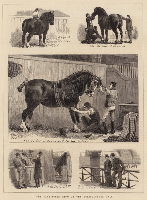 The Cart-Horse Show at the Agricultural Hall by John Charles Dollman